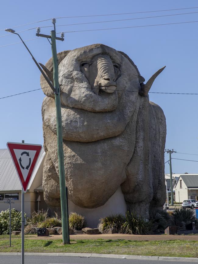 “The Big Merino incident” rocked the search for the next NSW Police Commissioner. Picture: Sean Davey