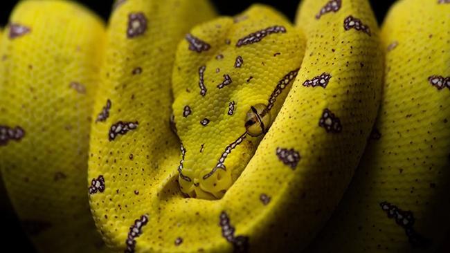 Australian Geographic Nature Photographer of the Year 2016