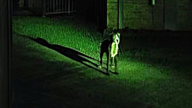 Security vision from a terrifying dog attack in Coffs Harbour in the early hours of Saturday morning, November 9.