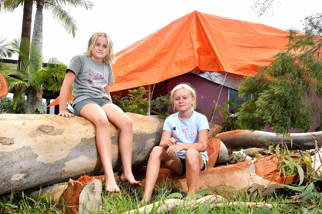 Sofia and Grace Lockett sit on a branch of the tree that went through their home in Little Mountain. Picture: John Gass