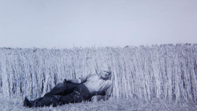 Bumper crop: Charles Marshall taking a spell in the paddock after a hard day’s work.