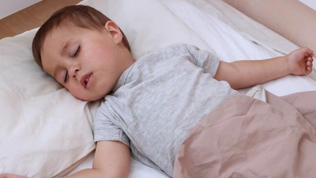 Archie woke up in the night and wandered out of the house. Photo: iStock