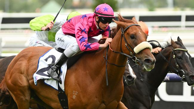 The Ben Brisbourne-trained Suparazi will shoot for his second win in a week at Flemington on Saturday. Picture: Getty Images.