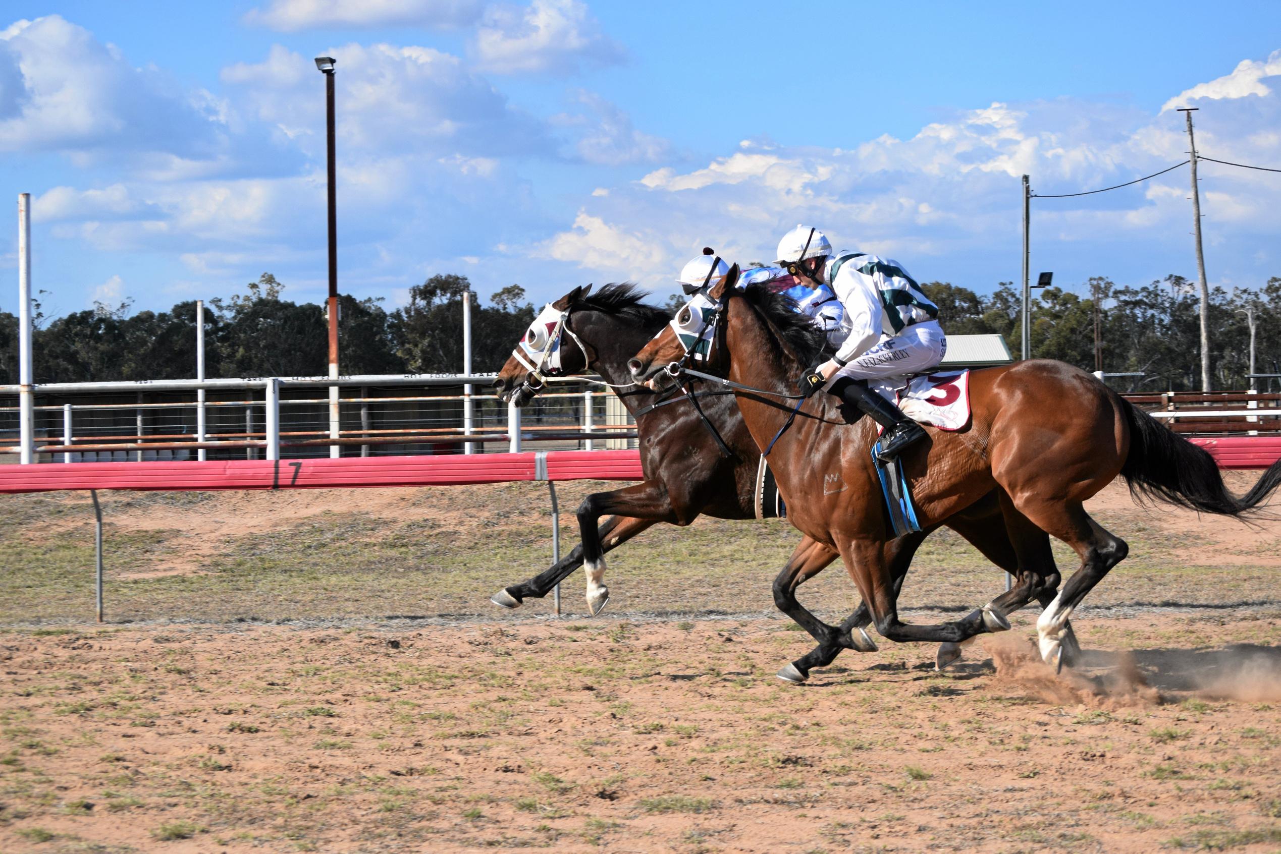 Hi Harry and jockey Adam Sewell took out the Tara Cup, closely followed by Nathan Fazackerley on Baker Boy. Picture: Brooke Duncan