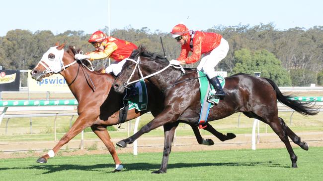 Race 5 Ipswich winner Writtle, ridden by Andrew Mallyon and trained by Lindsay Hatch. Picture: Claire Power