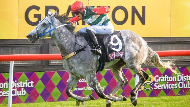 Jockey Belinda Hodder rode Owen Glue-trained At Witz End in the Beef Week Cup at Casino in 2017. Photo Adam Hourigan