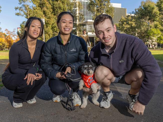 RSPCA SA's Million Paws Walk in Adelaide on May 25, 2025. Picture: Ben Clark