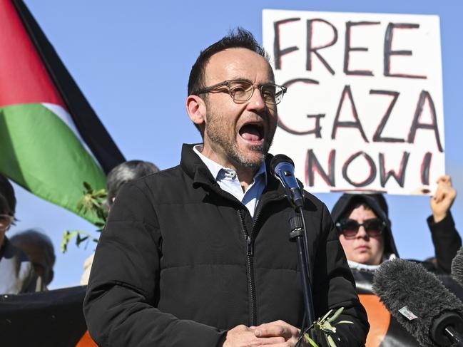 The Greens Party is inciting Jew haters. Picture: Martin Ollman