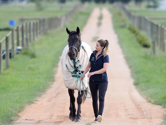 Michelle Payne with one of her gallopers. Picture: Michael Klein