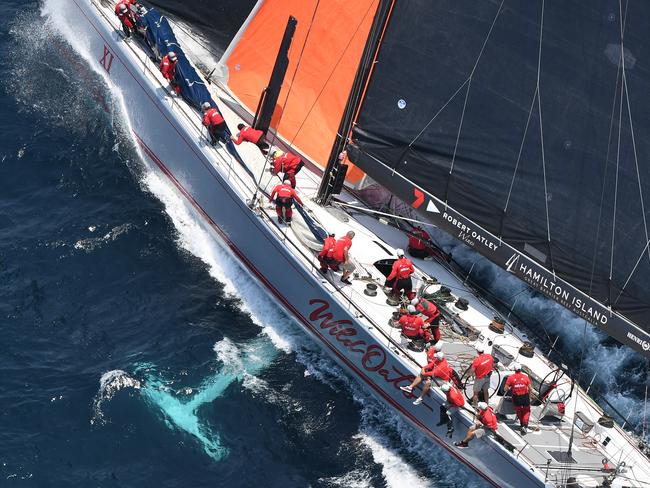 Wild Oats XI makes its way down the coast following the start of the Sydney to Hobart Yacht race in Sydney, Thursday, December 26, 2019. (AAP Image/Dean Lewins) NO ARCHIVING, EDITORIAL USE ONLY