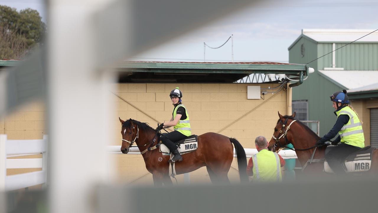 64 per cent of ex-racehorses go into another career in the equine industry. Picture: NCA NewsWire / David Mariuz