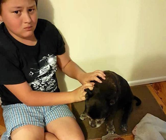 HEARTBREAKING: Dean Watson, 11, sits with his pet dog after she was mauled by two dogs who had come onto his property.