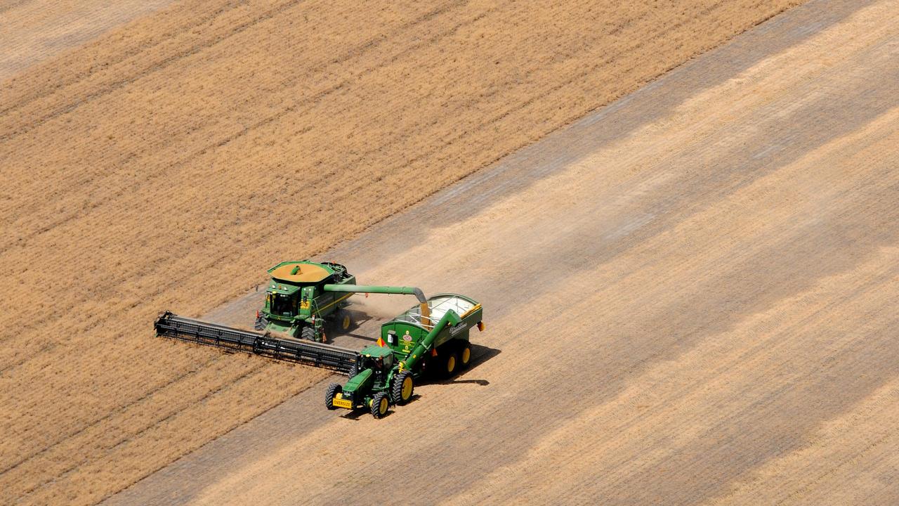 Aussie wheat cops dry downgrade