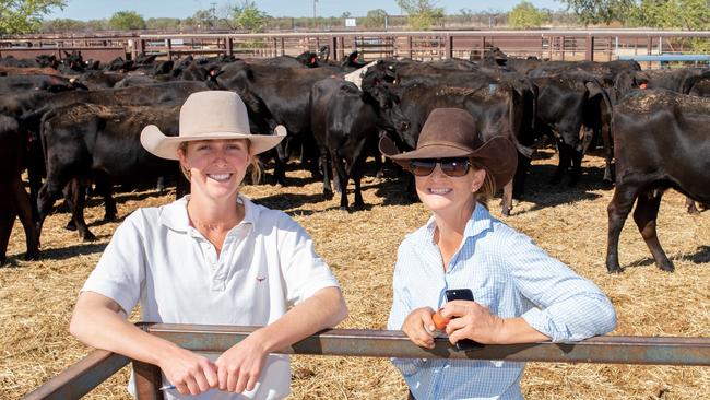 Isobel Thomson, AAMIG Business Graduate, and Clare McNeven, WQLX Manager, at the Western Queensland Livestock Exchange with a herd of organically certified cattle.