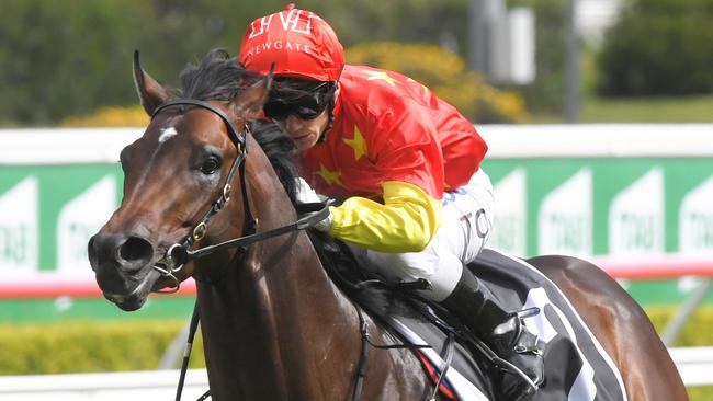 Cosmic Force is coming off a win in the Roman Consul Stakes. Picture: AAP