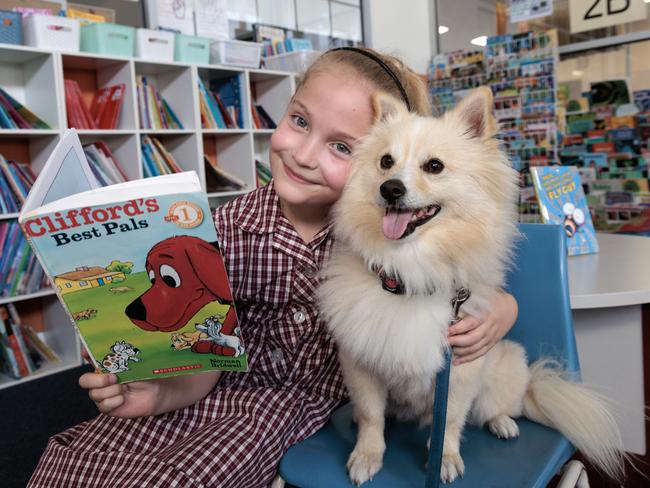 Lexee is back in the classroom, thanks to John Chellew and his therapy dog Max. Picture: David Geraghty