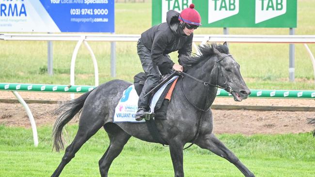 Valiant King won’t race in the Melbourne Cup. (Reg Ryan/Racing Photos via Getty Images)