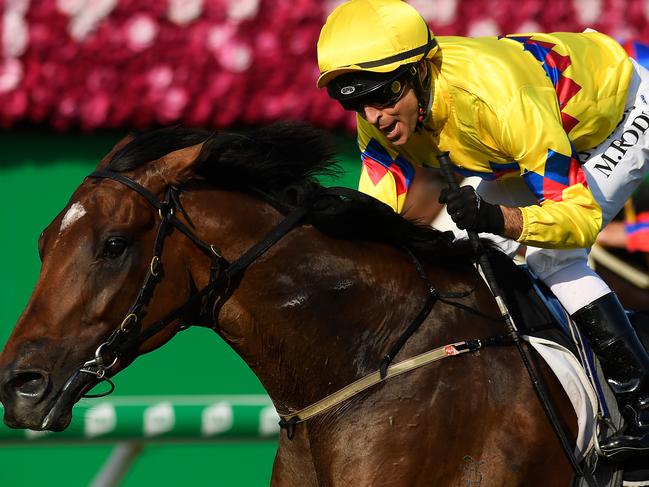 Michael Rodd rides Vega One to victory in The Gateway at Eagle Farm.