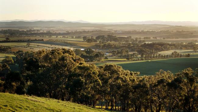 Paulett Wines. Photo: Daylight Breaks