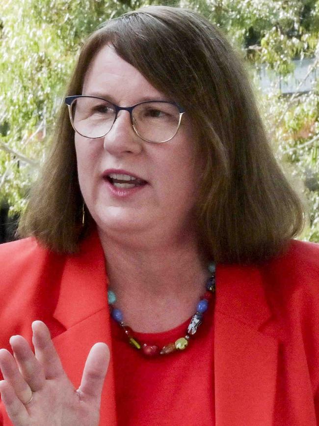 Labor MP Donna Davis tried to keep gas bans in place for new businesses in Parramatta. Picture: NCA NewsWire