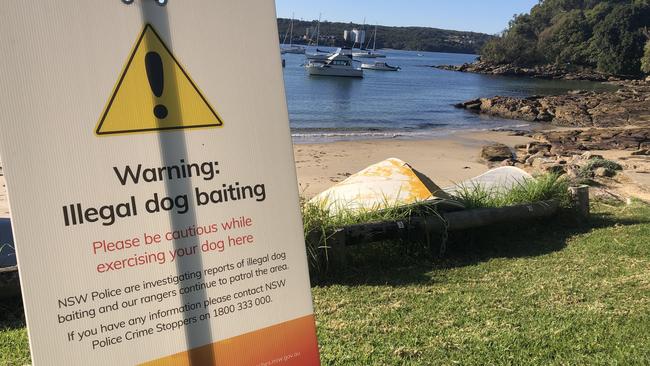 Northern Beaches Council has put up warning signs at Forty Baskets Beach, which is on a busy section of the Manly to The Spit walking trail. Picture: Jim O'Rourk<b>e</b>