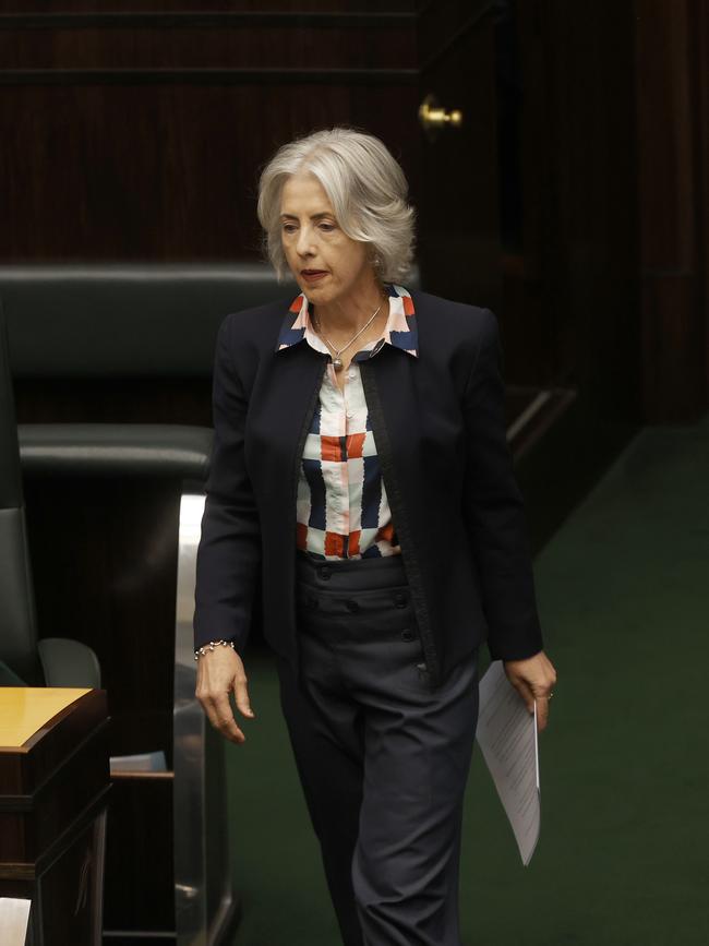 Greens leader Doctor Rosalie Woodruff. Tasmanian House of Assembly question time. Picture: Nikki Davis-Jones