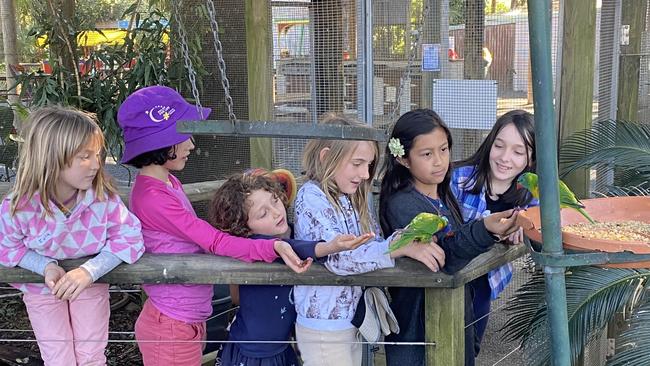 Students learning at Macadamia Castle.