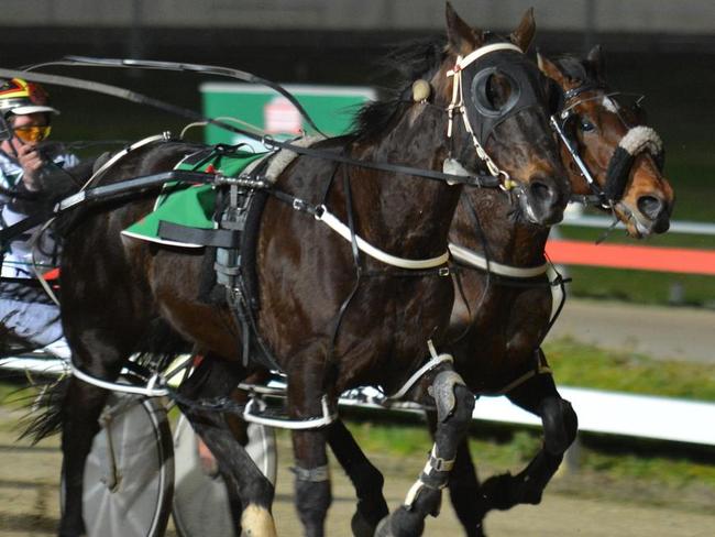 Lake Eyre (Mark Yole) brings up trainer Ben Yole's 100th winner for the season in Hobart. Picture: TASRACING