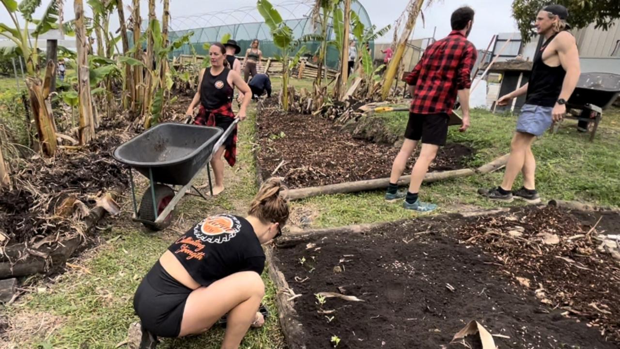 The Farm Gym's gym garden. Picture: supplied.