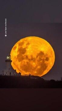 Flower Moon over Byron Bay