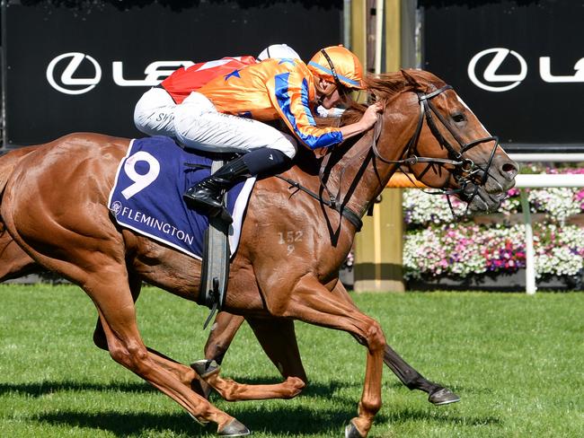 Sans Doute ridden by Michael Dee wins the ATA/Bob Hoysted Handicap at Flemington Racecourse on March 30, 2024 in Flemington, Australia. (Photo by Ross Holburt/Racing Photos via Getty Images)