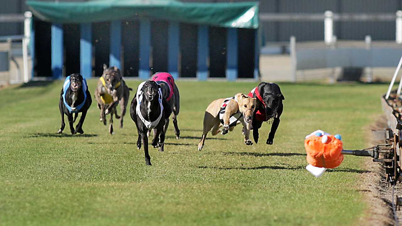 Demolition of Border Park raceway begins | Daily Telegraph