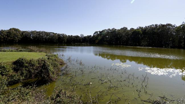 The original Black Swan Lake-Bundall at Bundall. Picture: JERAD WILLIAMS