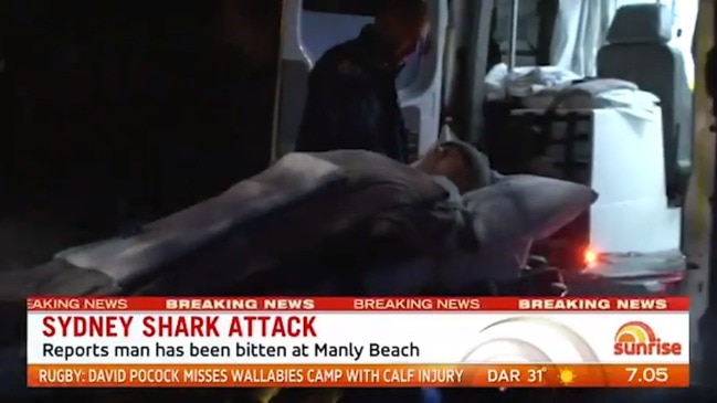 Man hospitalised after suspected shark attack at Manly beach (7 News)