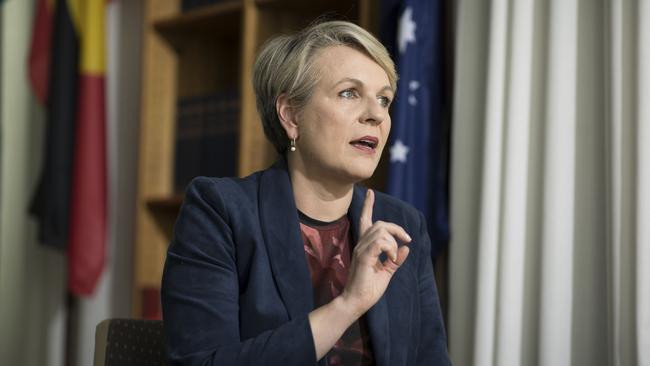 Minister for the Environment and Water, Tanya Plibersek. Picture: NCA NewsWire/Gary Ramage