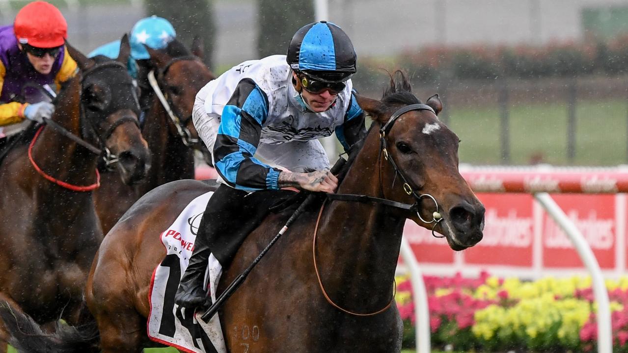 Tom Dabernig excited about the progression of Empire Rose contender ...