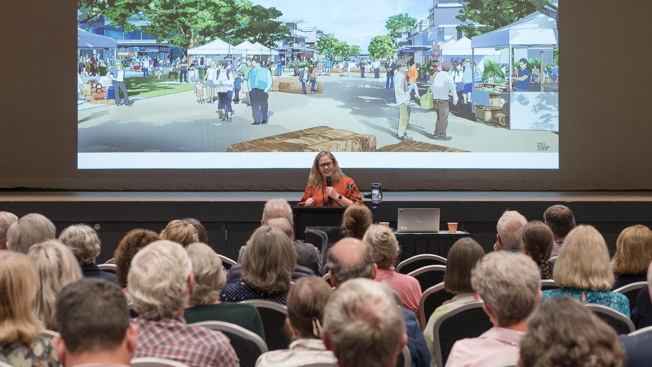 Lisa Deeth, Highfields Chamber of Commerce president, addresses a community meeting on April 15 over the community's town centre proposal.