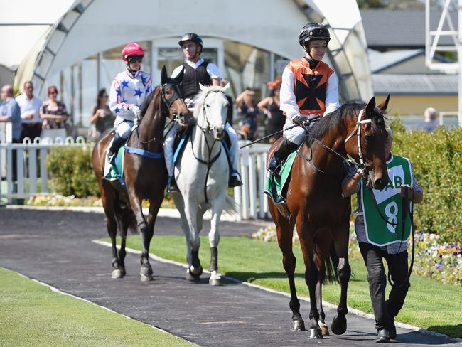 Horse racing at Aquis Park Gold Coast Turf Club in Bundall. Jockey Leah Kilner on Miss Whittington in mounting yard prior to race 3 on October 26, 2019. Picture: Lawrence Pinder