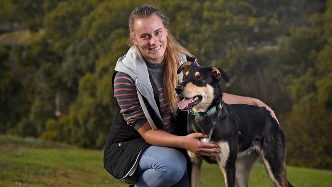 Scout with his new owner, Cassie Westerholm. Picture: Naomi Jellicoe