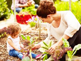 Shot of a smiling couple with their little girl working in their organic garden