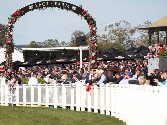 Races at Eagle Farm, Stradbroke day. Winner of race 5, Spill the Beans, Jockey Tim Clark. Pic Jono Searle.