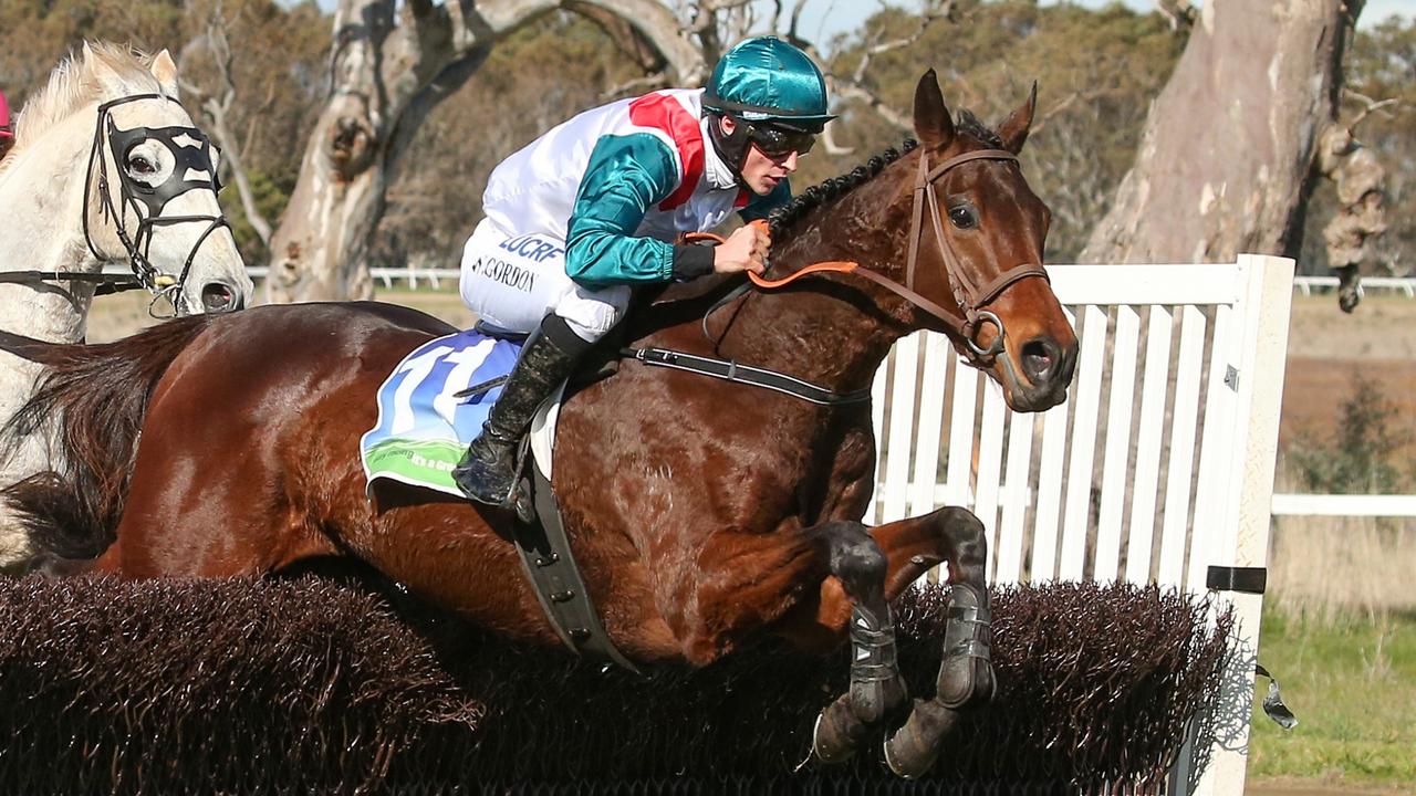 Zabeel’s last horse in historic Grand Annual bid