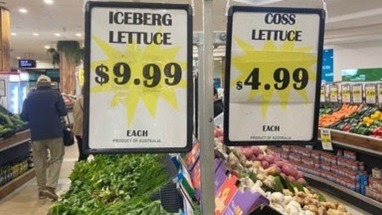 Why there’s a shortage of iceberg lettuce in Sydney supermarkets