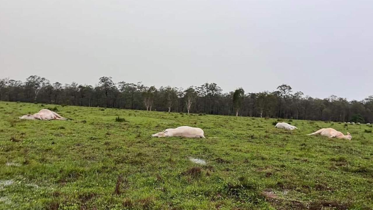 Flash flooding, lightning strikes and trees down are just some of the carnage left behind in the wake of a day of severe storms across Queensland. Picture: Aaron Broom.