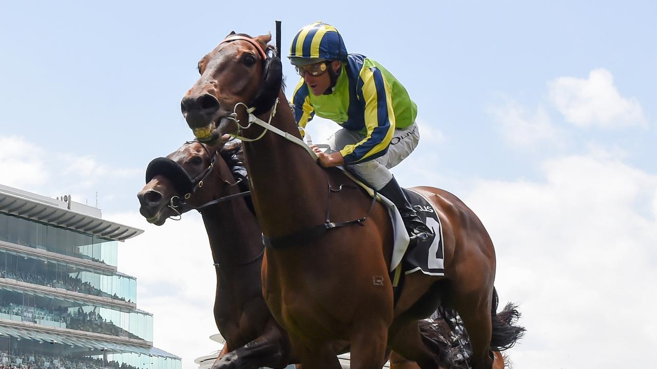 Archer Stakes: Damien Oliver secures Melbourne Cup spot for Kalapour ...