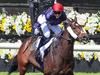 Melbourne Cup 5 min form guide: Find a winner