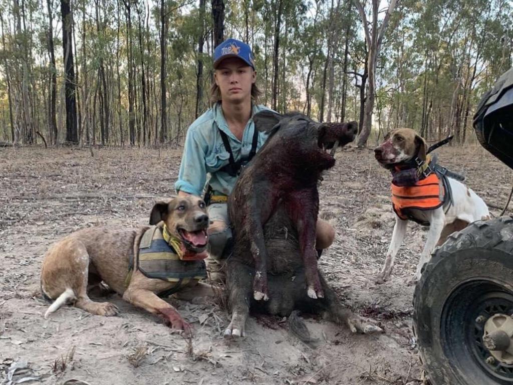 Corey Trevor George Balderson, 19, pleaded guilty on July 5 in Rockhampton Magistrates Court to one count of killing an animal with intent to steal and one of trespass.