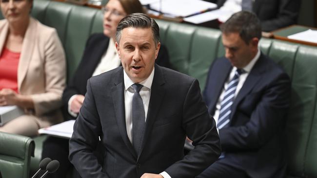 Health minister Mark Butler.