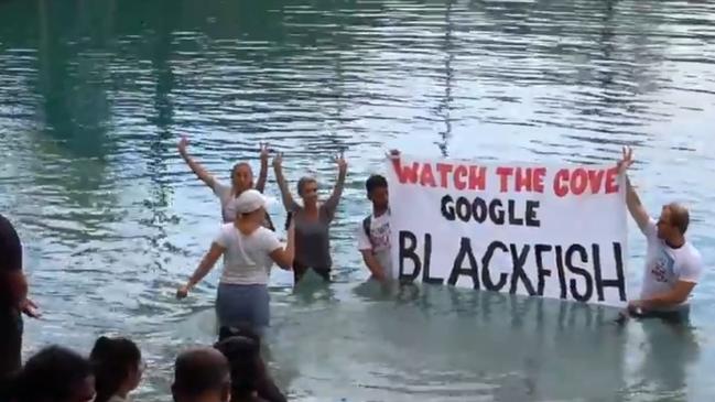 Protesters at Sea World.