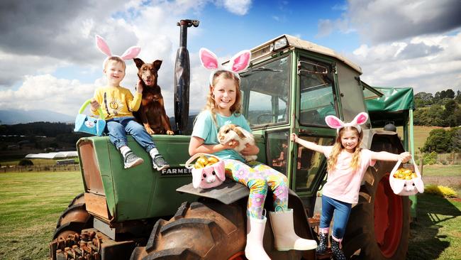 Starting Friday, families are invited to attend the Wild about Wellbeing Farm in the Yarra Valley. Picture: Rebecca Michael.